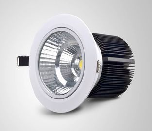 High Power Ultra-cienka odlewania pod ciśnieniem 30 W LED Wbudowane oświetlenie Ra 80 ciepły biały Regulowany Ściemnialny